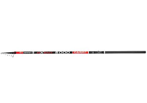 Болонське вудлище Brain Axent Carp X 4 m
